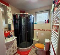A bathroom in a family house with a toilet, shower, and decorative tiles.