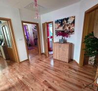 Interior of a family house with a wooden floor design and houseplants.
