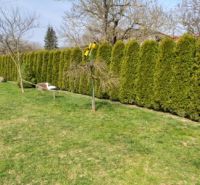 The garden of a family house in Klokočov with a well-maintained lawn and a hedge.