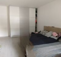 Bedroom in a 2-room apartment with a sliding wardrobe and a bed, floor with wooden decor.