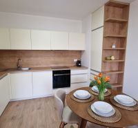 A kitchen in a 2-room apartment with a table and a wooden decor floor.