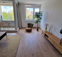 Living room in a two-room apartment with a wooden decor floor and a large window.