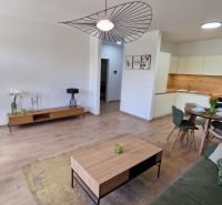 Living room with kitchen in a 2-room apartment, wooden decor flooring, elegant furniture.