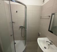 A bathroom with a corner shower and a sink in a studio apartment.
