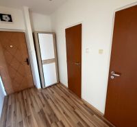 A hallway in a one-room apartment with a wooden decor floor and a wardrobe.