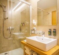 A bathroom in a holiday apartment with a glass shower enclosure and an elegant sink.
