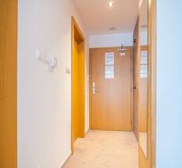 A hallway of a recreational apartment with wooden elements and carpet.