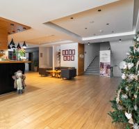 In the recreational apartment, we find a Christmas tree, seating, a counter, stairs, and a floor with a wooden decor.
