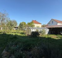 The garden of a family house in Zlaté Moravce full of greenery and trees.