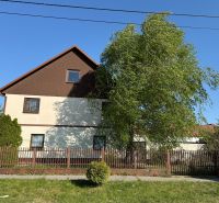 A family house in Zlaté Moravce, a garden with trees, a fence, and a blue sky.
