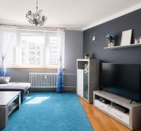 Living room in a 3-room apartment with a wooden decor floor and a blue carpet.