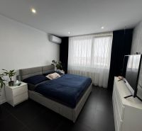 A bedroom in a 3-room apartment with a large bed, a television, and houseplants.