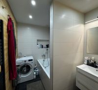 Bathroom in a 3-room apartment with a bathtub, washing machine, and wooden wall decor.