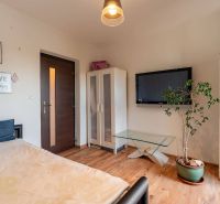 Living room in a 4-room apartment with a wooden decor floor, television, and a plant.