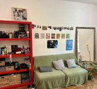 A living room in a two-room apartment with a green sofa, a red shelf, and a wooden decor floor.