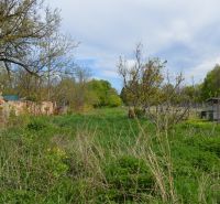 The garden of a family house in Horné Saliby with grass, trees, and an old brick fence.