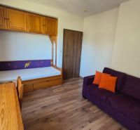 Recreational apartment with a sofa, bed, wardrobe, and floor with wooden decor.