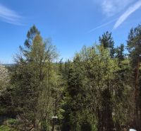 A forest stand with a view of treetops and a blue sky in Stará Lesná.