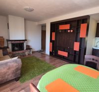A recreational apartment with a wooden decor floor, fireplace, and kitchenette, cozy interior.