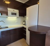 A kitchenette in a holiday apartment with dark cabinets and white appliances.