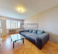 Living room with a sofa, coffee table, and wooden decor flooring in a two-room apartment.