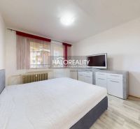 Bedroom in a 2-room apartment with a bed, television, and wood-patterned flooring.