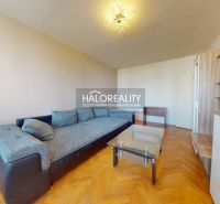 Living room in a two-room apartment with a sofa and a wooden decor floor.