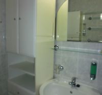 Bathroom in a 2-room apartment with a sink, mirror, and cabinet, ideal for storage space.