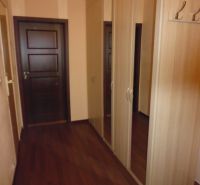 A hallway with a wooden decor floor and a wardrobe in a 2-room apartment.