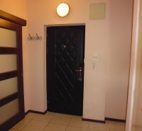 Entrance hallway in a 2-room apartment with white walls and dark doors.