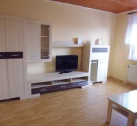 Living room in a 2-room apartment with furniture, TV, and flooring with a wood decor.