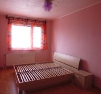 A bedroom with light pink walls, a bed, and a wood-patterned floor in a two-room apartment.