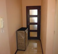 A hallway in a 2-room apartment with dark doors and a light floor.
