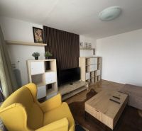 Living room in a 2-room apartment with a wooden decor floor and a yellow armchair.