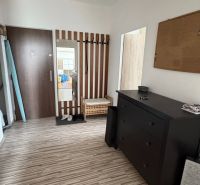 Entrance hallway in a 2-room apartment with a wood-patterned floor and practical furniture.