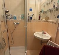 A bathroom with a shower, sink, and shelves in a 2-room apartment.