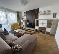 Living room in a two-room apartment with a comfortable sofa and a wooden decor floor.