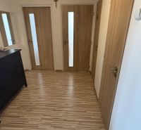 A hallway with multiple doors and a wooden decor floor in a 2-room apartment.