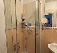 Bathroom with a shower in a 2-room apartment, cream-colored tiles.