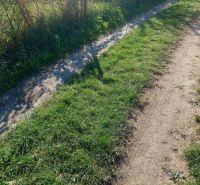 A grassy path in Budiná with growing shrubs along the road by a family house.