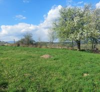 Greenery and blossoming trees in Budiná on plots designated for housing.