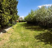 A garden surrounded by trees and a fence, Trebišov, South, suitable for residential plots.