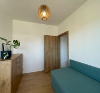 A room in a 2-room apartment with a wooden decor floor and a green sofa.