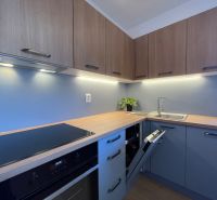 A modern kitchen in a 2-room apartment with a wooden decor floor and blue cabinets.