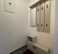Hallway with a wardrobe and shoe cabinet in a 2-room apartment.