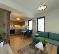Living room with kitchen, wooden decor flooring, green sofa, 2-room apartment.