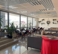 Interior of dining spaces with flowers, colorful chairs, and sofas on a floor with decor.