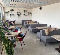 Interior of a gastro space with modern gray sofas, colorful chairs, and decorative plants.