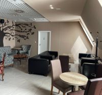 Gastro premises with tree decoration on the wall, armchairs and chairs, floor with wooden decor.