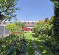 The garden of the family house on Hollého Street in Stupava, full of greenery and trees.